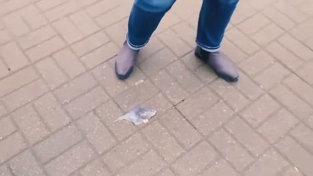 Москва - Калининград - Зеленоградск | Bench-TV смотреть онлайн