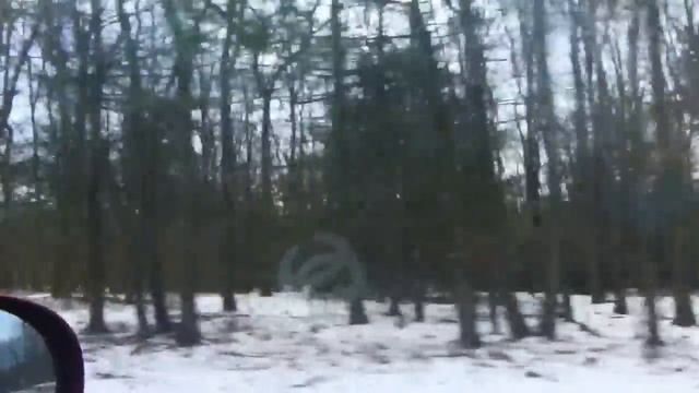 США Едем в горы ко мне на дачу!Всех приглашаю ! смотреть онлайн