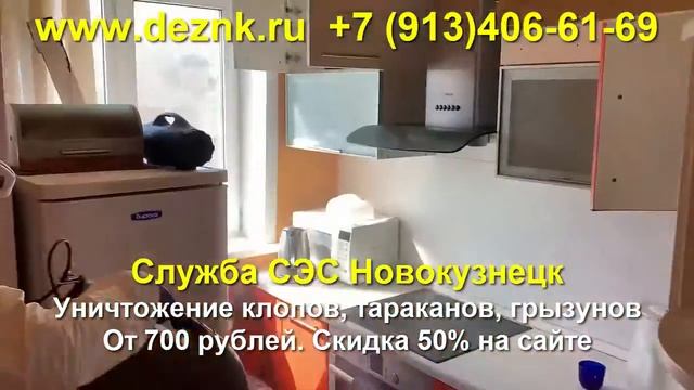 Служба СЭС Новокузнецк. Уничтожение клопов, тараканов, блох, муравьев. Травля мышей, крыс. смотреть онлайн