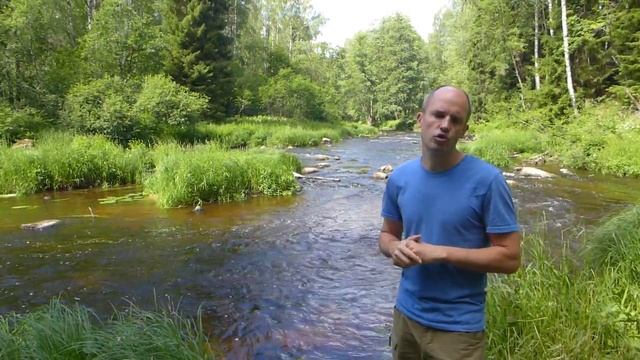 Почему исчезает и зачем погибает лосось? Жертва ради жизни. Нерест. смотреть онлайн