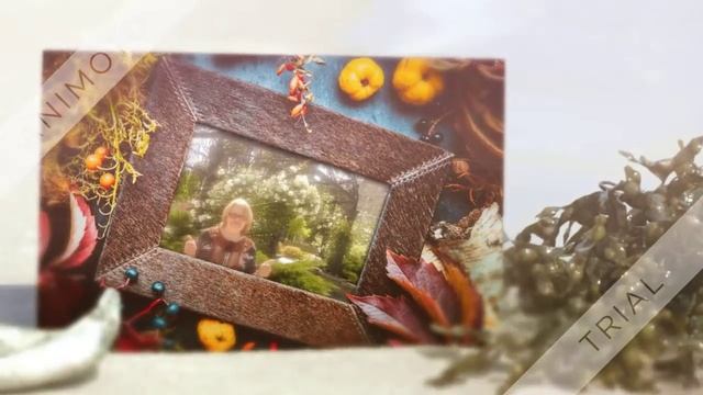 Лето 2018 смотреть онлайн