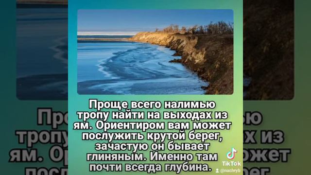Что такое налимья тропа? #налим #ловляналима #налимосенью #налимзимой #интересныефакты #печеньналим смотреть онлайн