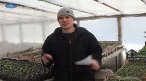 ВЫСОКОРОСЛЫЕ ТОМАТЫ В ОТКРЫТОМ ГРУНТЕ. ТАК ЛИ ЭТО СЛОЖНО?