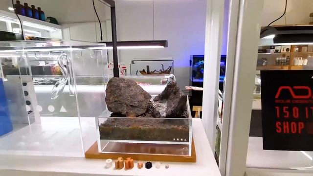 Аквариумный магазин в Бангкоке / Aqua Lab store Bangkok смотреть онлайн