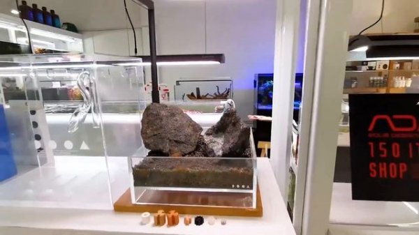 Аквариумный магазин в Бангкоке / Aqua Lab store Bangkok
