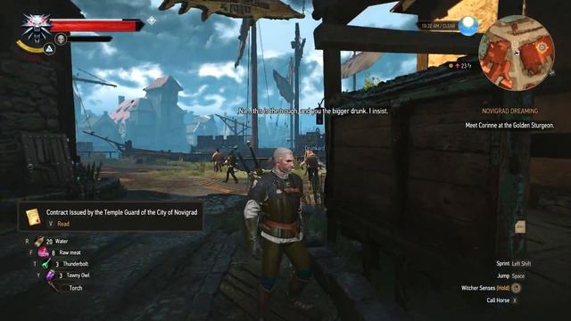 The Witcher 3: Wild Hunt - Ep.24 : ZOLTAN! (The Witcher 3 Gameplay / Walkthrough) смотреть онлайн
