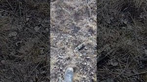 настройка металлоискателя AS 944 -3M на крупный металл