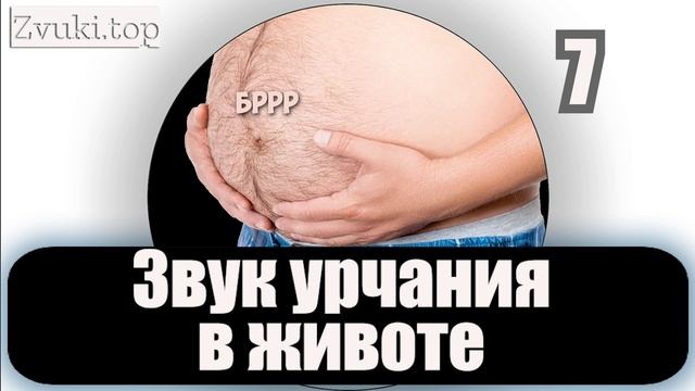 Звук урчания в животе у людей слушать онлайн звуковые эффекты