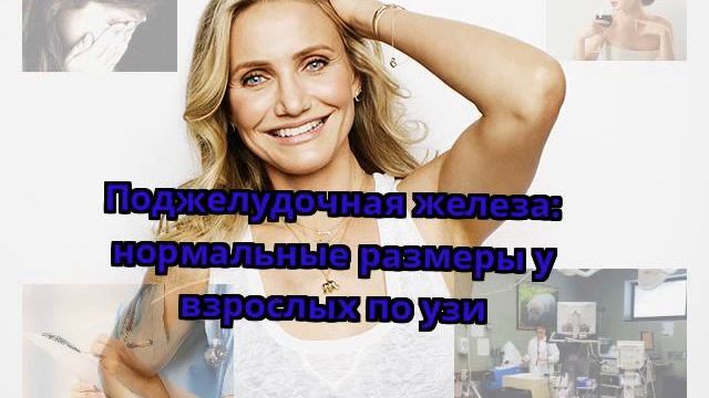 Поджелудочная железа: нормальные размеры у взрослых по узи смотреть онлайн