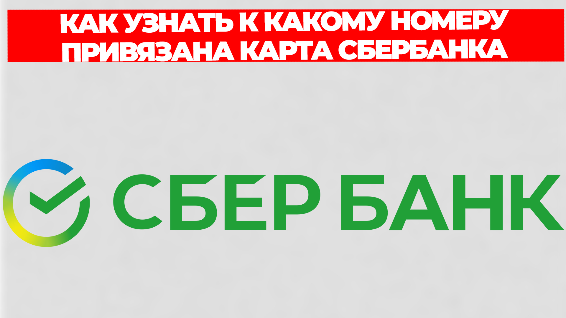 Всезнающий Енот