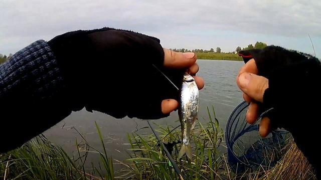 Рыбалка на поплавок. Маховая удочка и клев как у Черных Камней.