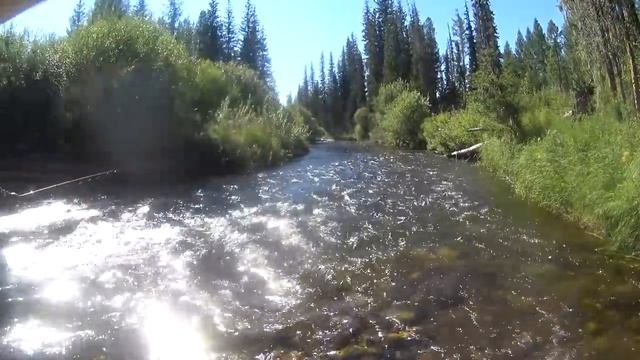 Ловля хариуса в Сибири в августе!!! День первый!!! смотреть онлайн