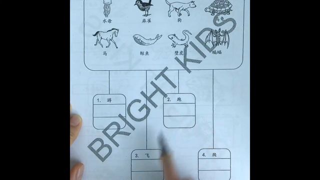 BK STD 1 SC PG 36 смотреть онлайн