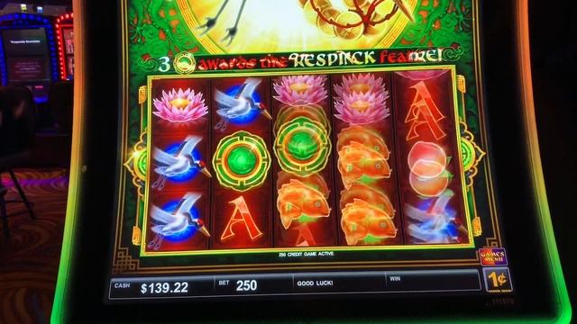 New Game? with 2 choices and barking fish? ? Rocket and Lock it and Directional Multiplier смотреть онлайн