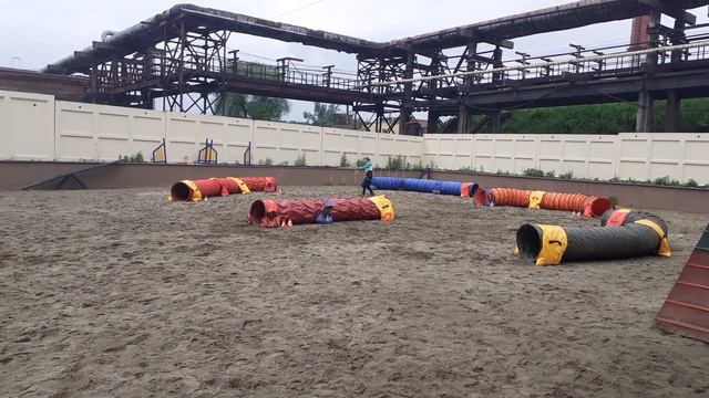 Торбина Алена и Стелс смотреть онлайн