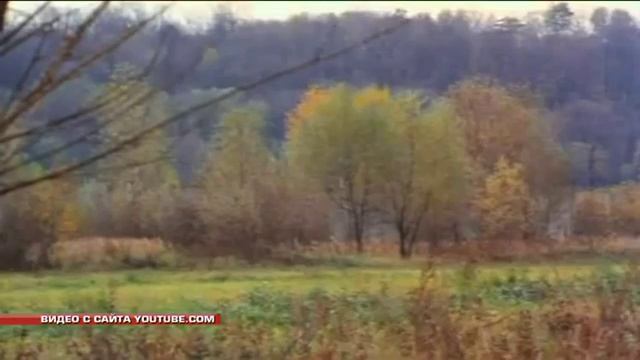 "Год кино". Иван Охлобыстин смотреть онлайн