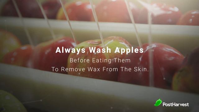 Facts About Apples смотреть онлайн