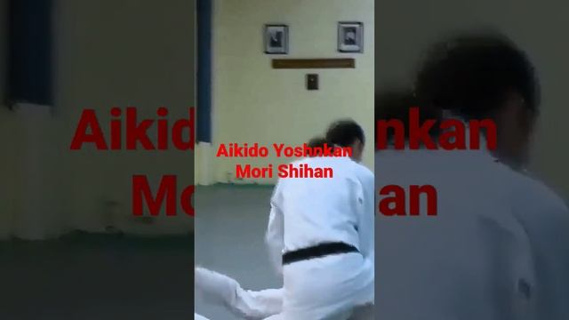 Mori Shihan Aikido Yoshinkan Brisbane Dojo 合気道養神館 豪州道場 森師範 смотреть онлайн