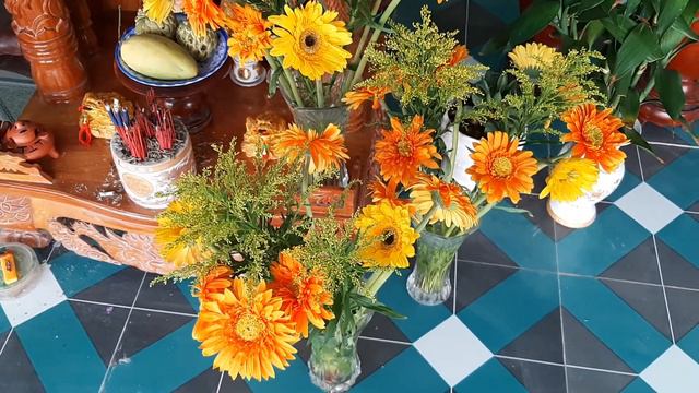 CÚNG THẦN TÀI THỔ ĐỊA, HOA ĐỒNG TIỀN, HOA QUỲNH ANH смотреть онлайн