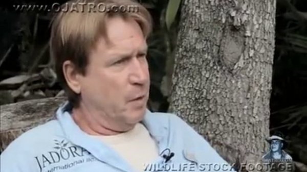 Black Mambas 03, Mamba vs Wildlife