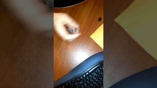 Доставка с AliExpress, светодиоды для ланоса. смотреть онлайн
