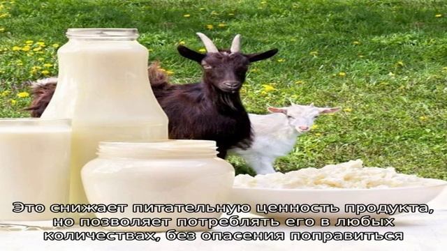 Козья сыворотка смотреть онлайн