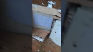 6,35 или 5,5 Какой калибр точнее?