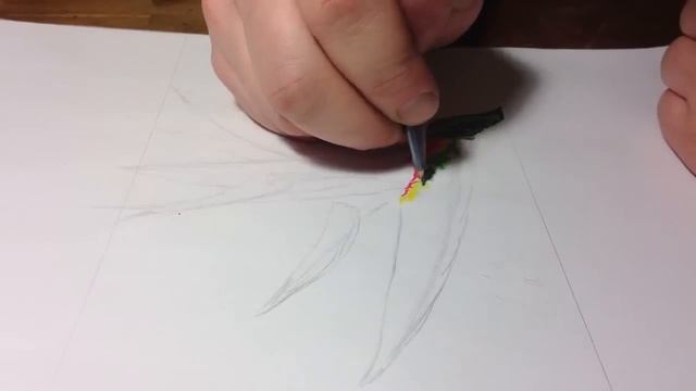 Holon Ink - Bird of Paradise Pen/Ink Drawing Part 1 Time Lapse смотреть онлайн