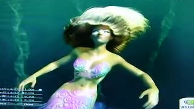 Perform NVIDIA GeForce 7600 GS (PNY) nalu 6800 смотреть онлайн