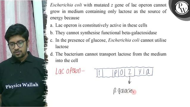 Escherichia Coli With Mutated \( Z \) Gene Of Lac Operon Cannot Gro...