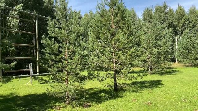 076. Озеро «Вельё» ??? ⛺️ Отдых.... смотреть онлайн
