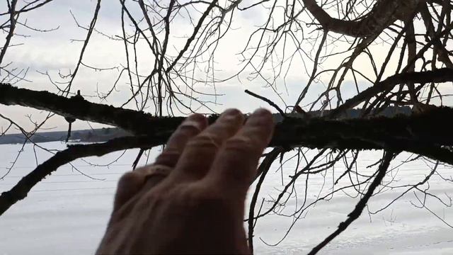 ЗИМНИЙ КОП С МЕТАЛЛОИКАТЕЛЕМ МД3028 С КАТУШКОЙ ОТ МД4060 смотреть онлайн