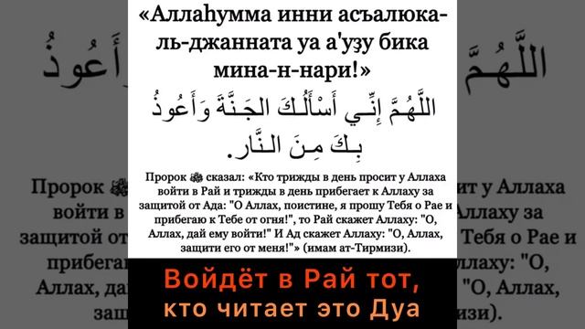 Войдёт в Рай тот, кто читает это дуа Аллахумма инни асалюка ль джанната #ислам #коран смотреть онлайн