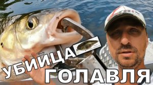 Как поймать голавля и не только??? Ловля на кренки