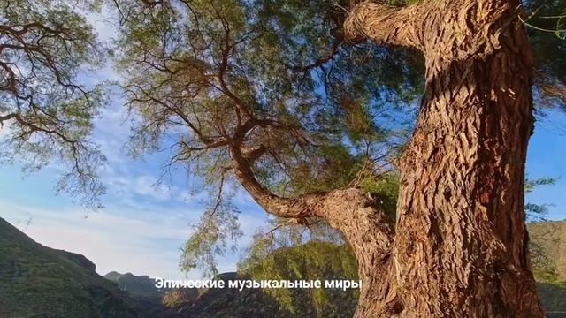 Очень красивая и спокойная музыка! Релакс Музыка Крепкий сон Душа Спокойная