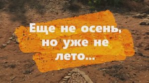 Еще не осень,но уже не лето...