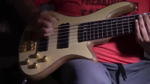 schecter custom-6 six string bass смотреть онлайн