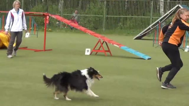 Чиж Валерия и шелти Рамзес и Марсель смотреть онлайн