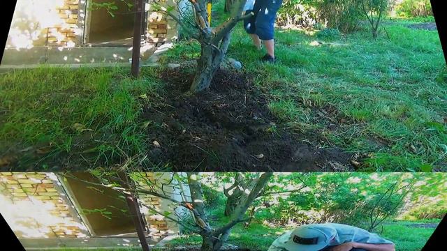 Моя дача 113 смотреть онлайн