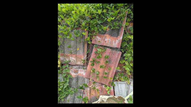 IPhone Mah Lewat!!! SeNatural Apa Kamera GOOGLE PIXEL 4 XL ANDROID TIRAMISU