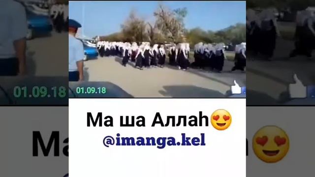 В ответ на запрет ношение хиджаба в школах Дагестана хиджабы одели даже те кто их не носил смотреть онлайн