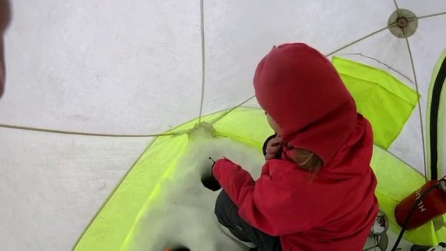 На РЫБАЛКУ с дочерью в ЯГЕЛЬНЫЙ БОР за КОРЮШКОЙ.