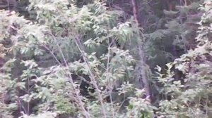 Путешествие на Скутере из Беларуси на Байкал