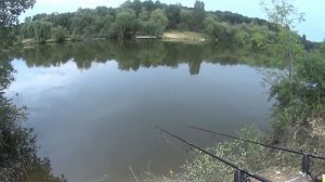 Ловля толстолоба со дна(Дневник рыболова)