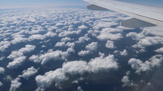 Superjet 100 а/к Ямал | Рейс Ноябрьск - Санкт-Петербург смотреть онлайн