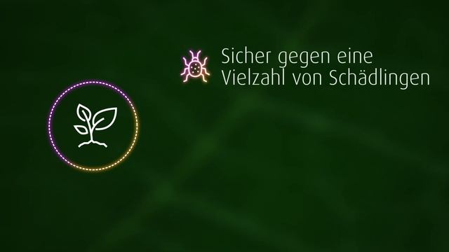 Karate Zeon - DAS Insektizid смотреть онлайн