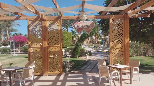 Romance Regency Club 5* Бар с бассейном (Египет, Шарм эль Шейх)