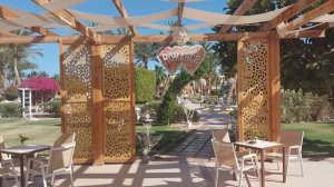 Romance Regency Club 5* Бар с бассейном (Египет, Шарм эль Шейх)