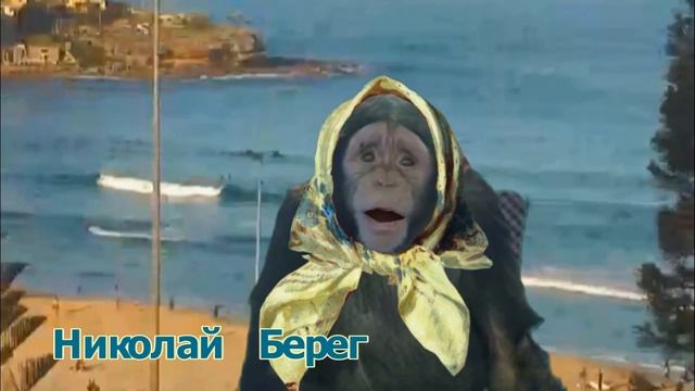 АЛЛО - ПОЛИЦИЯ ? смотреть онлайн