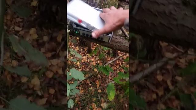 Заработала Дэльта.)) смотреть онлайн
